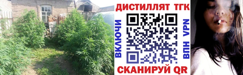 ТГК жижа  наркота  Хотьково 