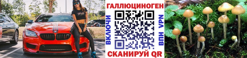 купить закладку  Хотьково  Псилоцибиновые грибы ЛСД 